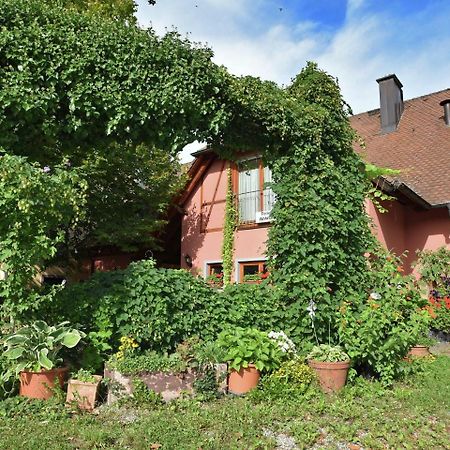 Countryside Apartment With Garden Schallstadt Εξωτερικό φωτογραφία