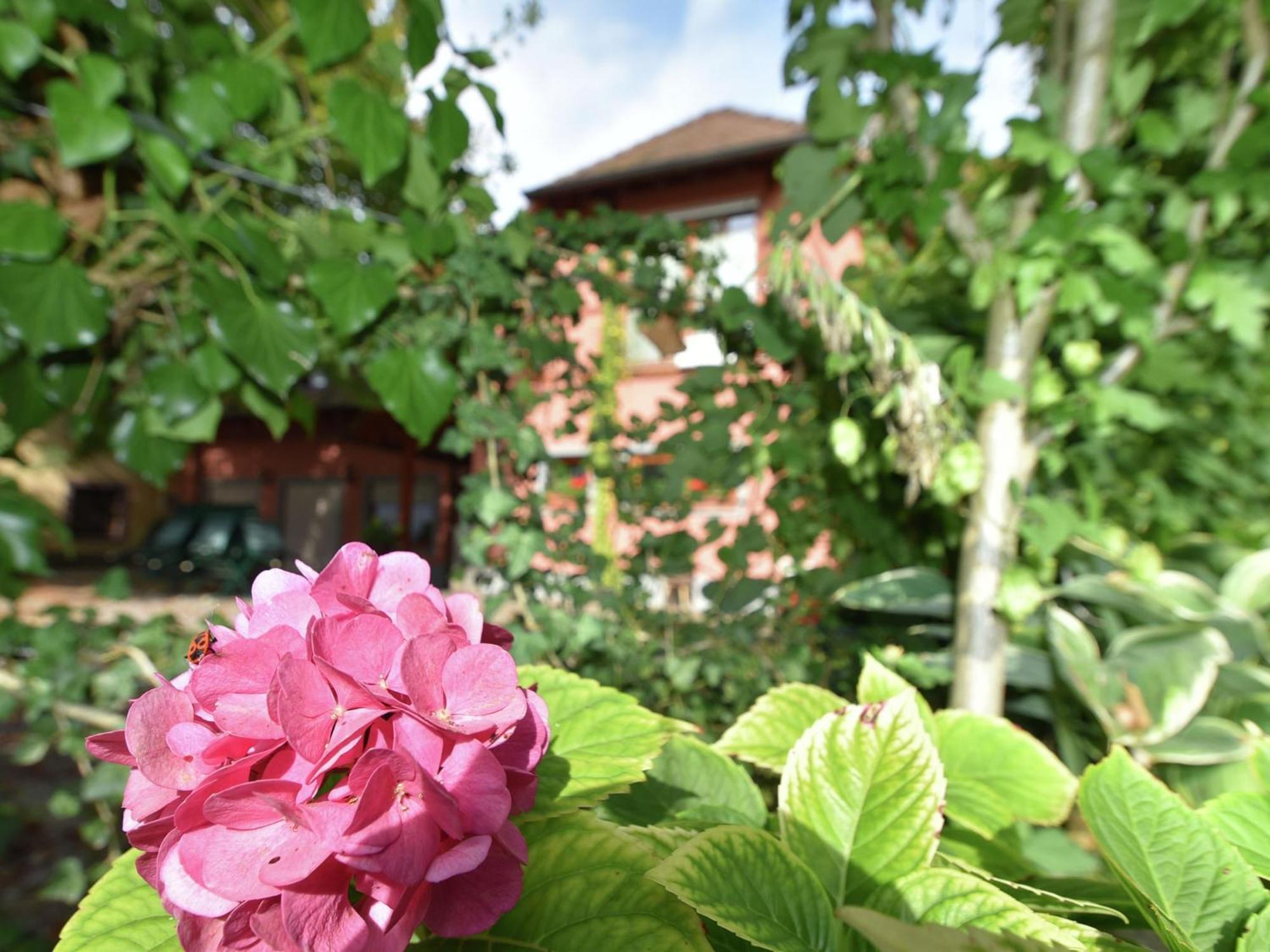Countryside Apartment With Garden Schallstadt Εξωτερικό φωτογραφία