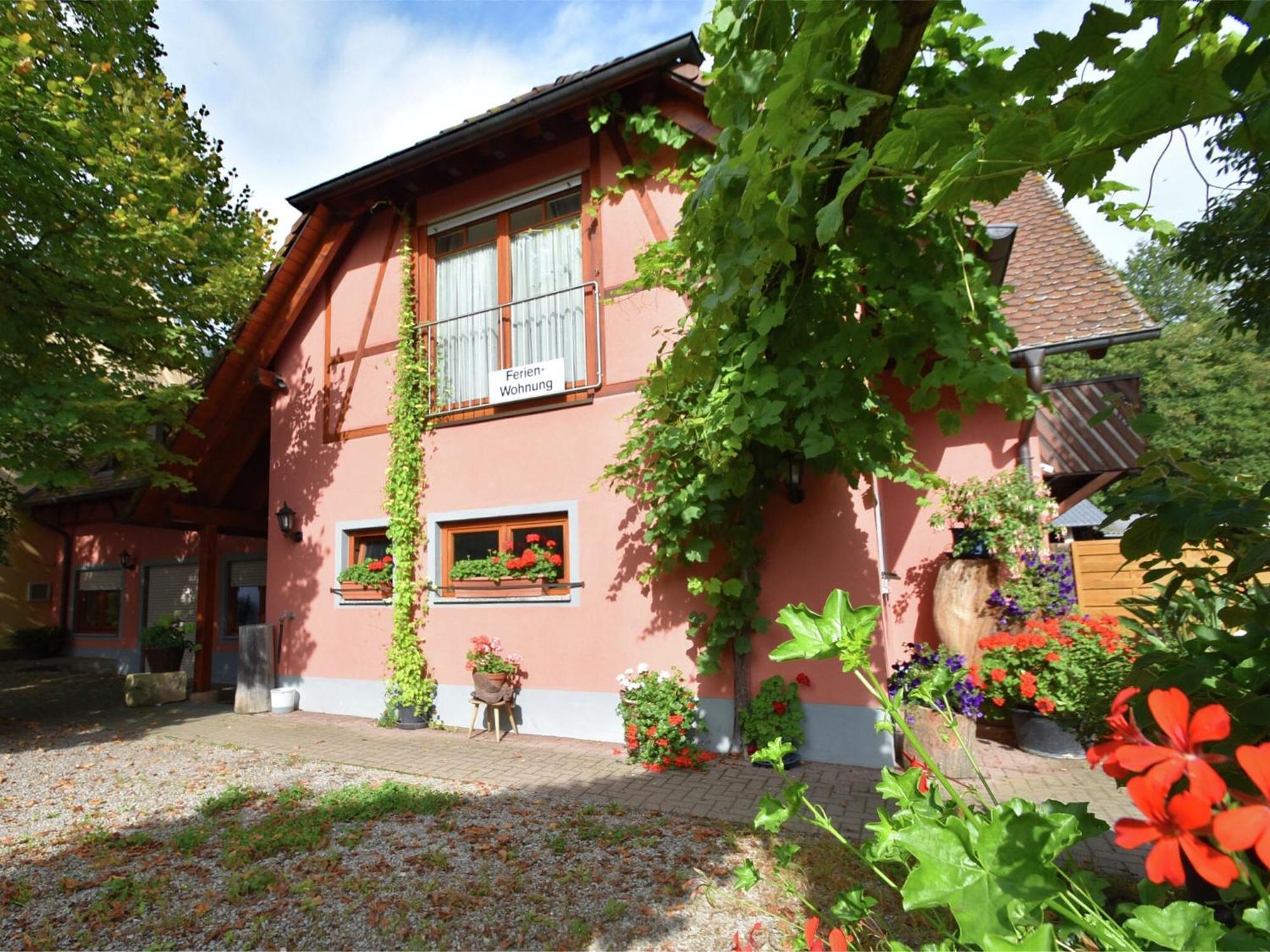 Countryside Apartment With Garden Schallstadt Εξωτερικό φωτογραφία