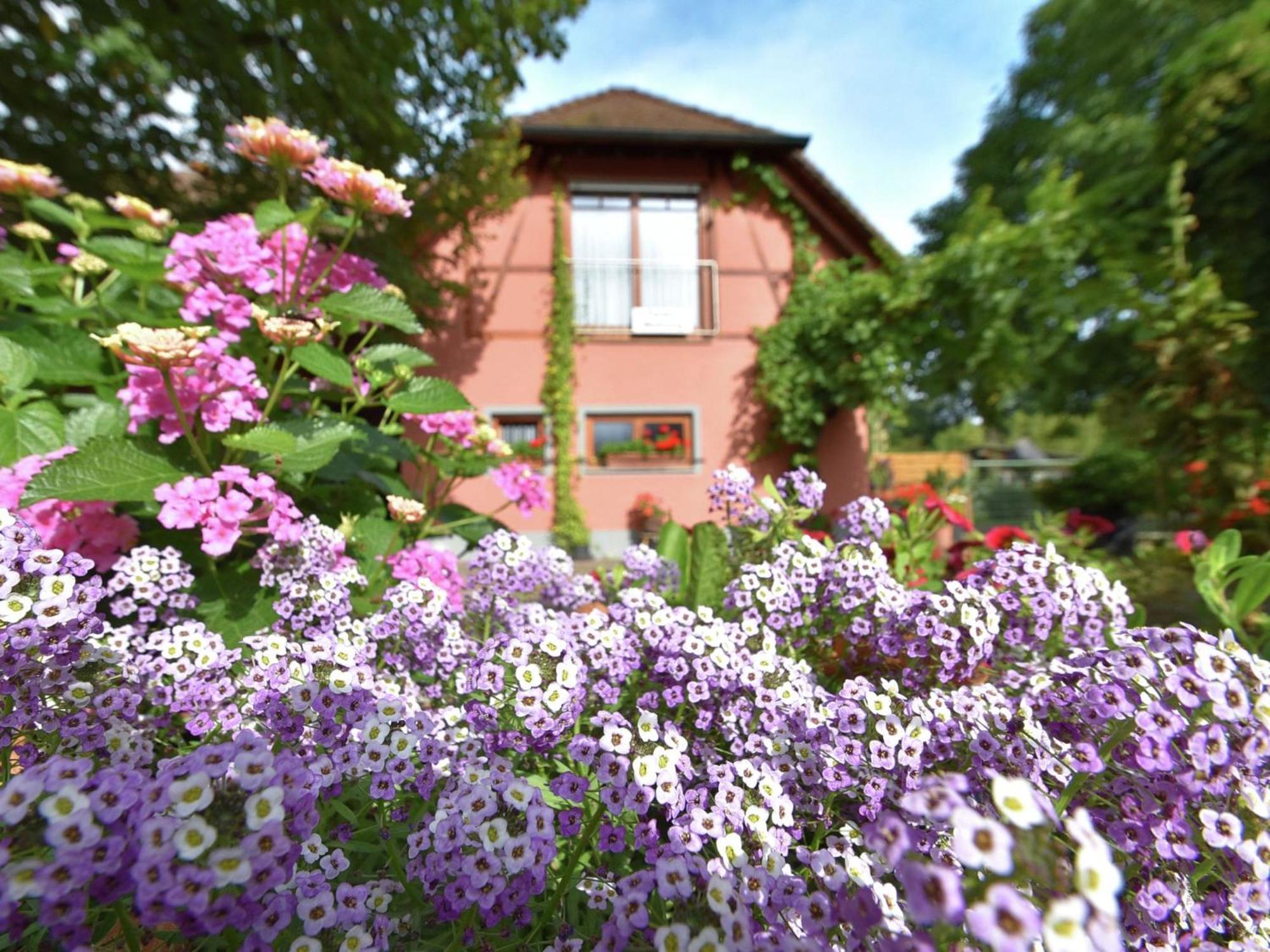 Countryside Apartment With Garden Schallstadt Εξωτερικό φωτογραφία
