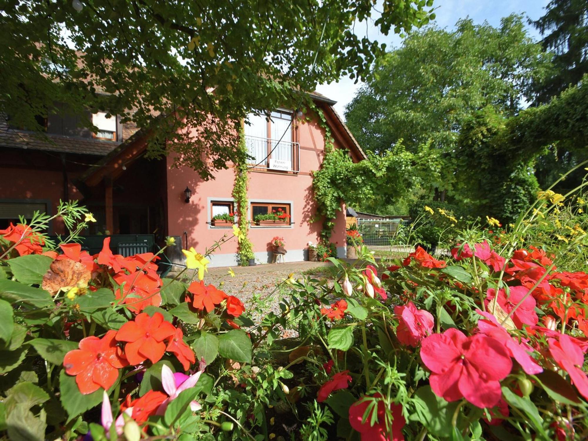 Countryside Apartment With Garden Schallstadt Εξωτερικό φωτογραφία