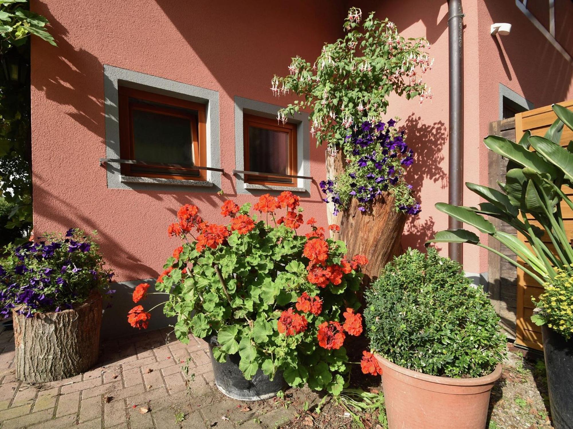 Countryside Apartment With Garden Schallstadt Εξωτερικό φωτογραφία