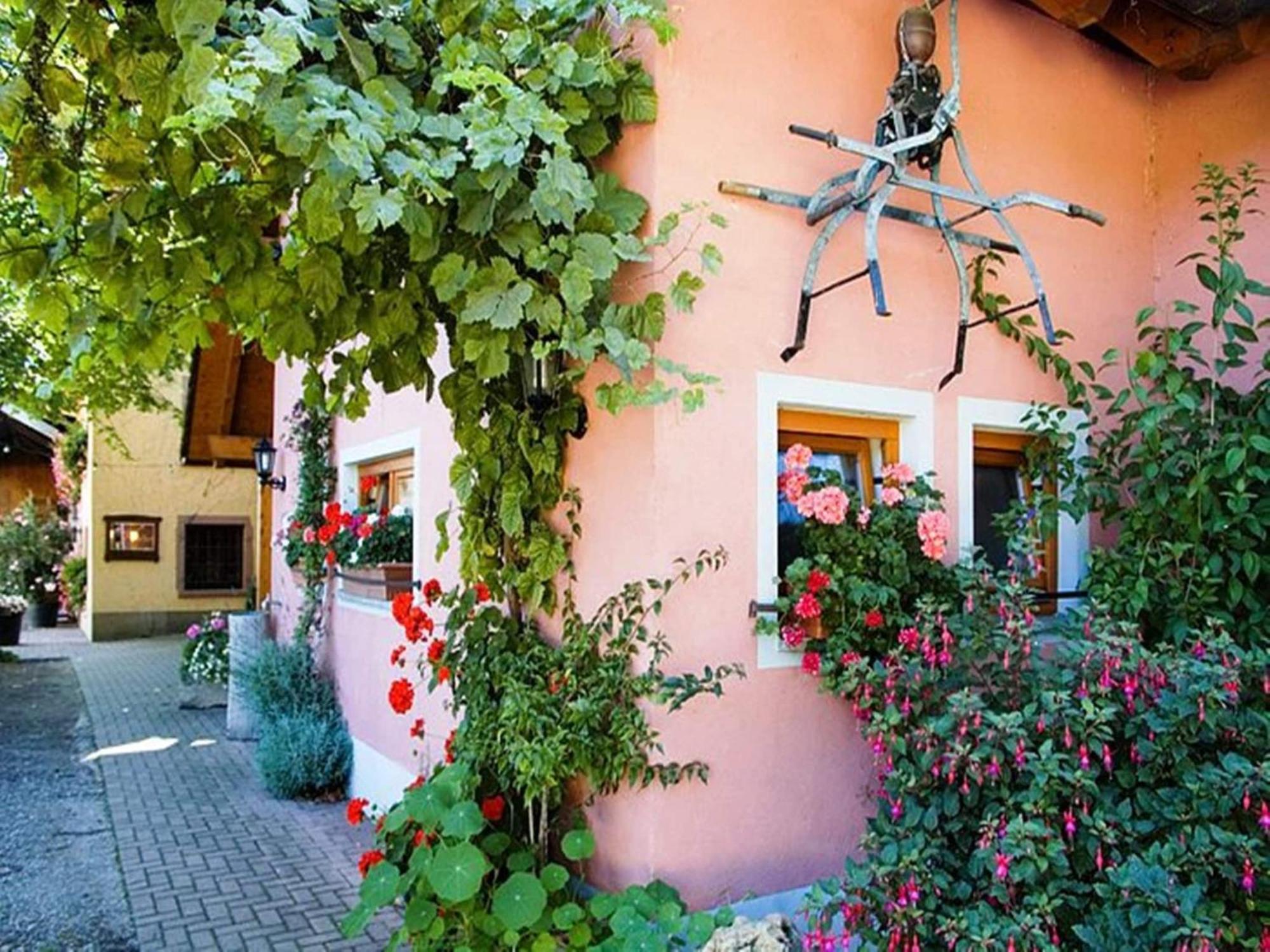 Countryside Apartment With Garden Schallstadt Εξωτερικό φωτογραφία