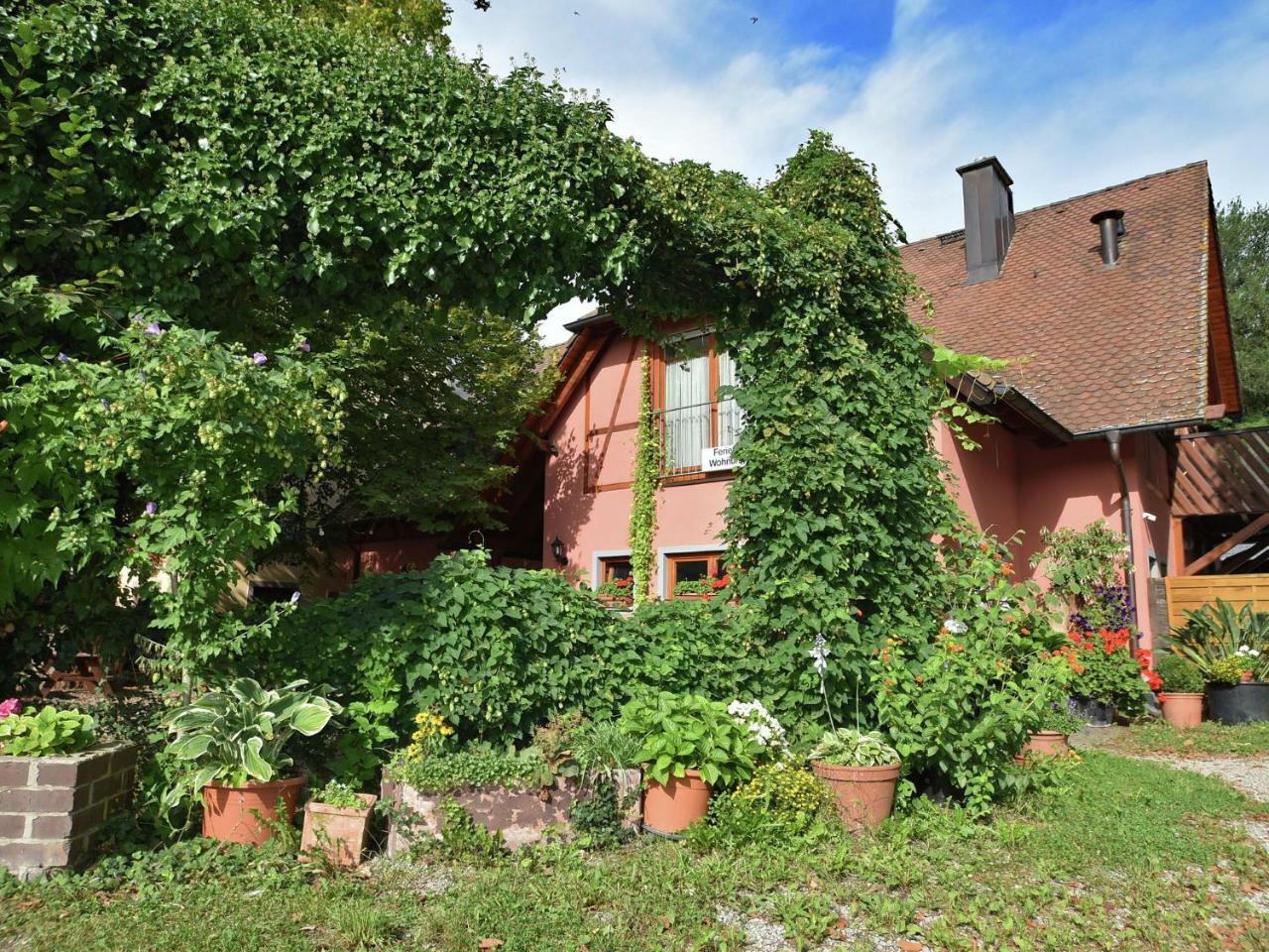 Countryside Apartment With Garden Schallstadt Εξωτερικό φωτογραφία